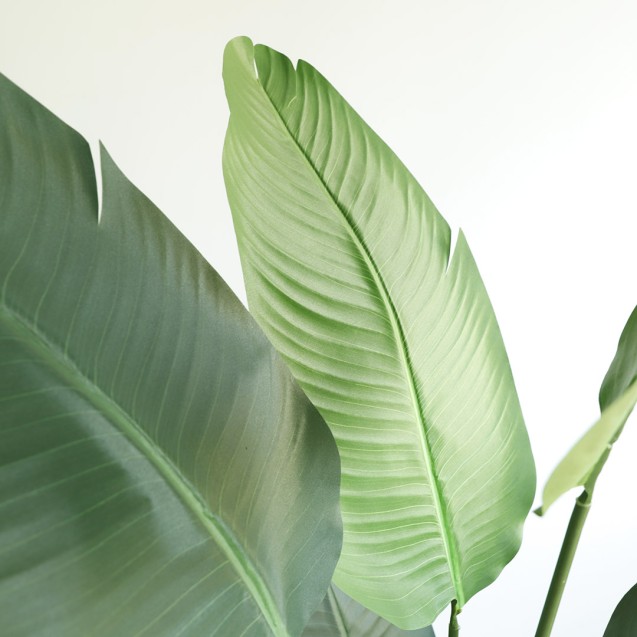 Banana Tree Np1412_180  Ύψος 180cm Newplan