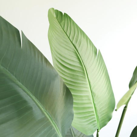 Banana Tree Np1412_180  Ύψος 180cm Newplan