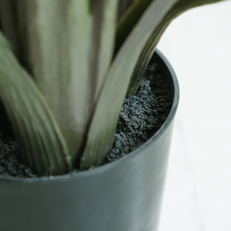 Banana Tree Np1412_180  Ύψος 180cm Newplan