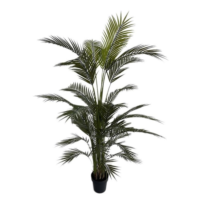 Palm Tree  Np160_210_Uv  Ύψος 210cm Newplan