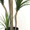 Dracaena  Np_28_155  Ύψος 155cm Newplan