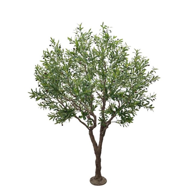 Olive Tree Np496_240_Uv Ύψος 240cm Newplan