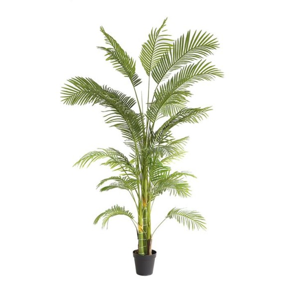 Palm Tree  Np5500_240_22 Ύψος 240cm Newplan