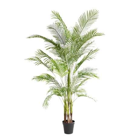 Palm Tree  Np5501_210_22  Ύψος 210cm Newplan