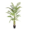 Palm Tree  Np5501_210_22  Ύψος 210cm Newplan