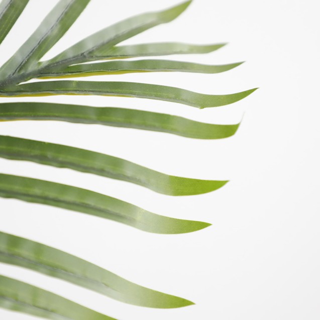 Palm Tree  Np5501_210_22  Ύψος 210cm Newplan