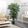 Palm Tree  Np5506_180_22  Ύψος 180cm Newplan