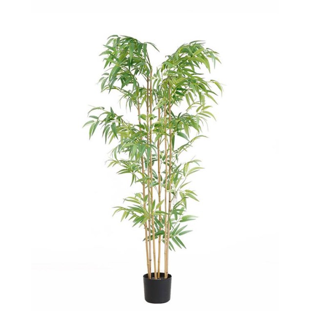 Bamboo  Np5801_150_22_Uv   Ύψος 150cm Newplan