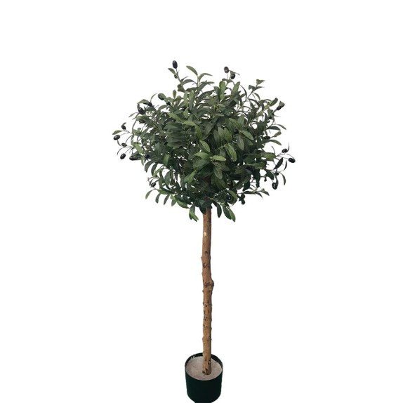 Olive Tree Np5807_150_22_Uv Ύψος 150cm Newplan