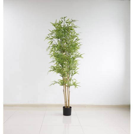 Bamboo  Np6321_180_22  Ύψος 180cm Newplan