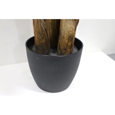 Banana Tree Np6327_180_22  Ύψος 180cm Newplan