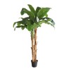 Banana Tree Np707_240  Ύψος 240cm Newplan