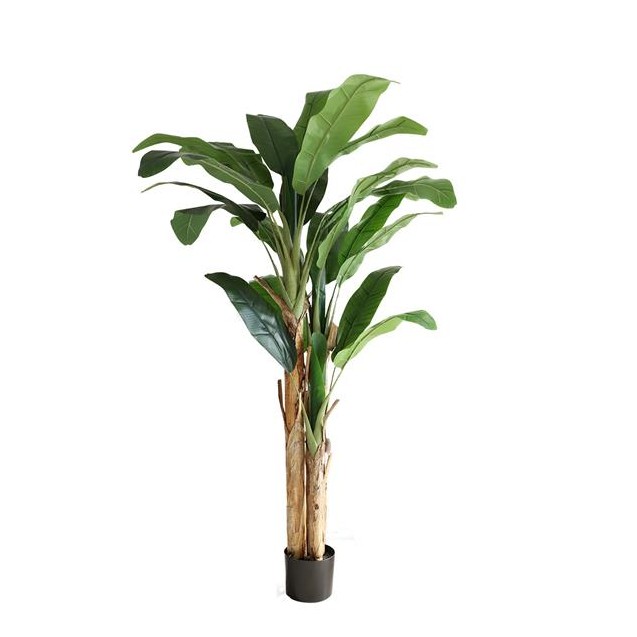 Banana Tree Np710_205  Ύψος 205cm Newplan