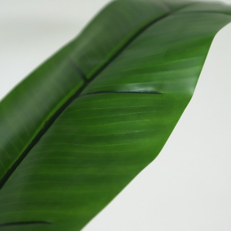 Banana Tree Np710_205  Ύψος 205cm Newplan