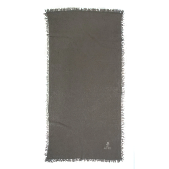 Πετσέτα Θαλάσσης Polo Club 3510 90x170