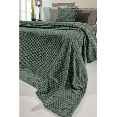 Σετ Κουβέρτα Fleece Υπέρδιπλη και Μαξιλαροθήκη Διακόσμησης Guy Laroche Smoothie Pesto 220x240