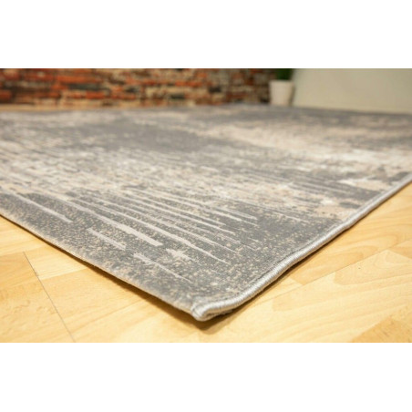 Χαλί Ezzo Venice 8131ACD 200x290