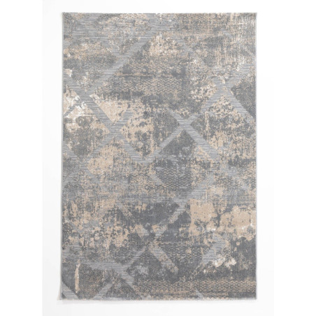 Χαλί Ezzo Venice 8145ACD 200x250