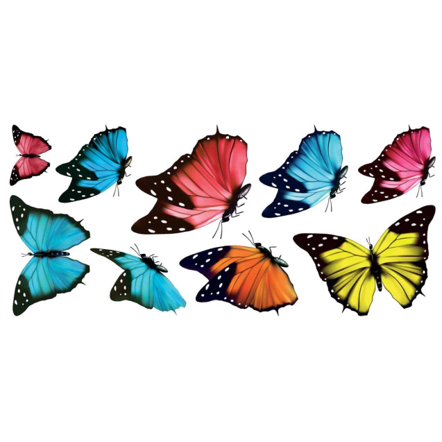 Αυτοκόλλητα Βινιλίου Διπλής Όψης Για Τζάμι...