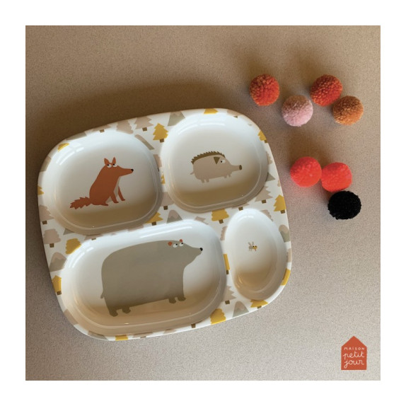 Δισκος  Ρηχος Με 4 Χωρισματα 21Χ24 Aventure - Petιτ Jour...