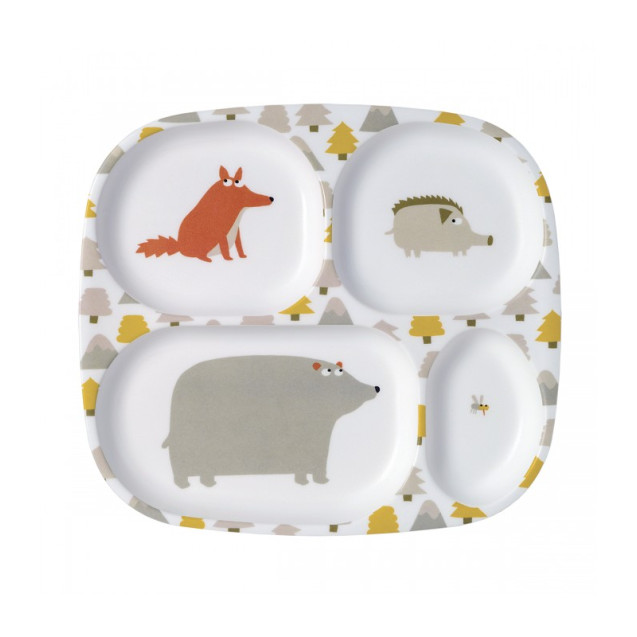 Δισκος  Ρηχος Με 4 Χωρισματα 21Χ24 Aventure -...