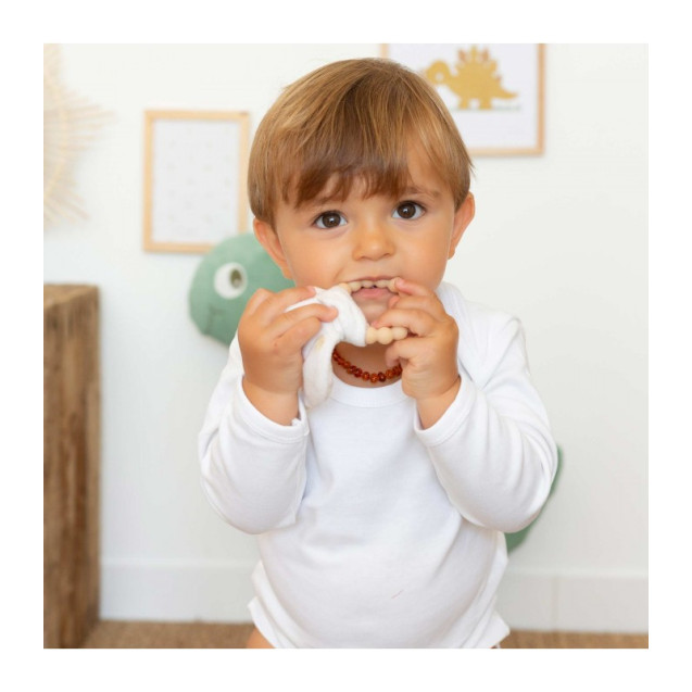 Μασητικο Σιλικονης Κρικος Diplododo  Trois...