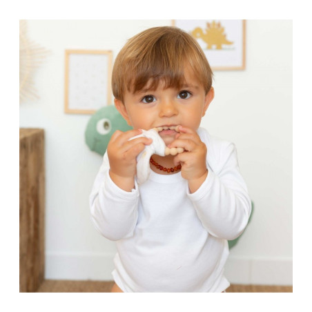 Μασητικο Σιλικονης Κρικος Diplododo  Trois Kilos Sept