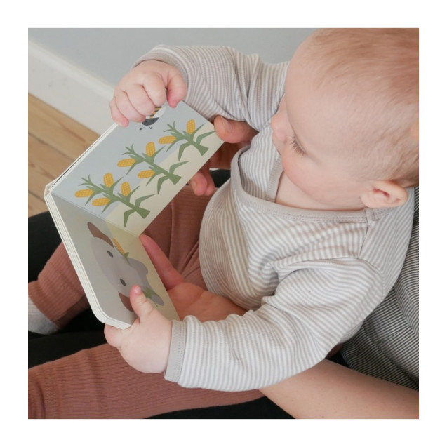 Βιβλίο Count Book