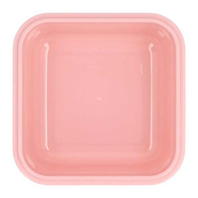 Φαγητοδοχείο Με Καπάκι Ασφαλείας Bugs Της Tutete