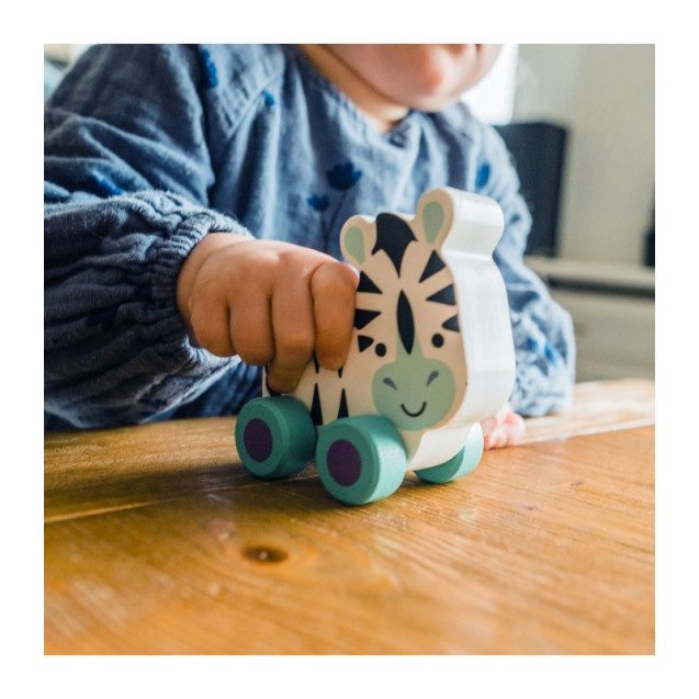 Ζέμπρα Push & Pull Orange Tree Toys