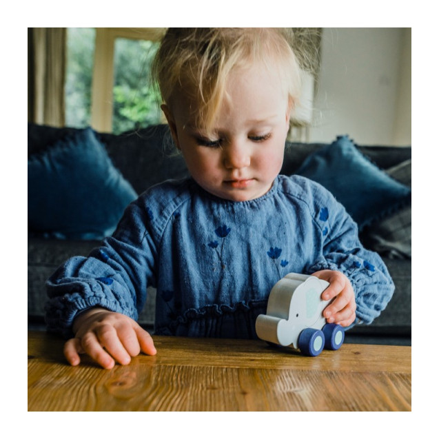 Ελέφαντας Push & Pull Orange Tree Toys