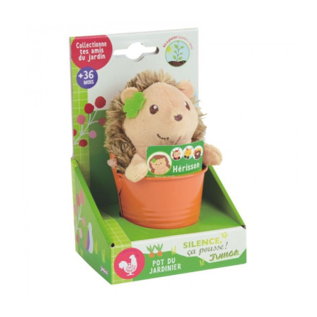 Γλαστρακι Με Σπορους & Λουτρινο Σκαντζοχοιρος