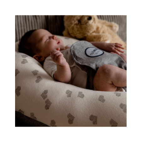 Μαξιλάρι Θηλασμού Εγκυμοσύνης & Ρηλαξ Candide Γκρι Jersey Hearts  BR78184
