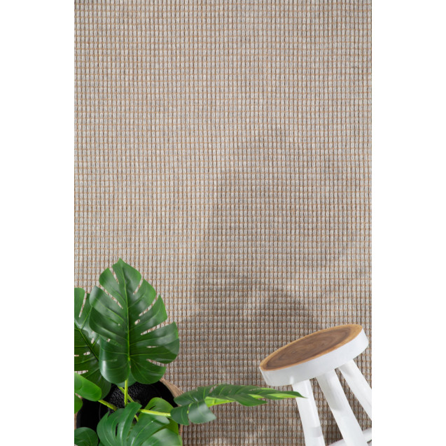 Ψάθα Elise 3652 04 GREY Royal Carpet - 160 x...