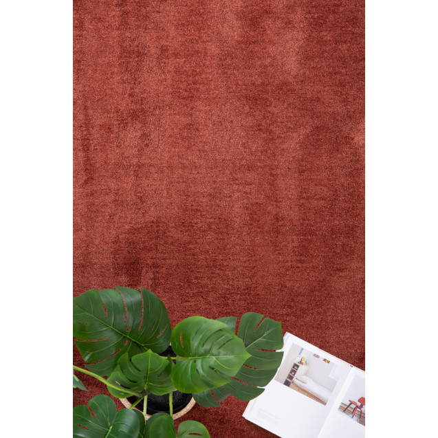 Χαλί Royal Carpet Feel 71351 013 160x230