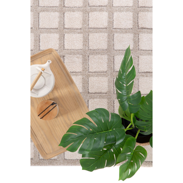 Χαλί Dune 608 561 Royal Carpet - 80 x 150 cm