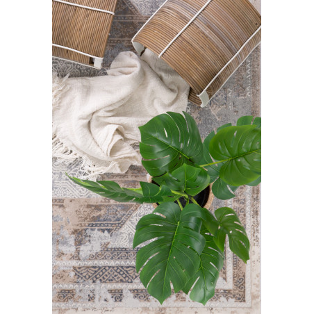 Χαλί Allure 17495 157 Royal Carpet - 160 x 160 cm