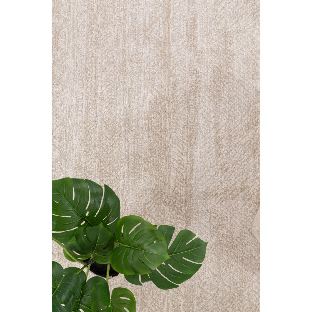 Μοντέρνο Χαλί Solid 1391 CREAM Royal Carpet -...