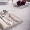 Τραπεζομάντηλο Teoran Sillon - 160x250cm + 12 πετσέτες