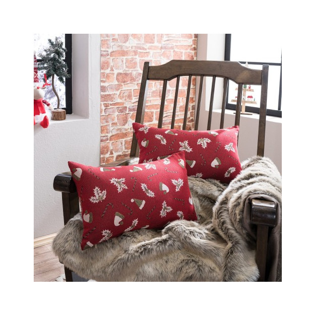 Μαξιλάρι Διακόσμησης Teoran Saxen 10 45x45