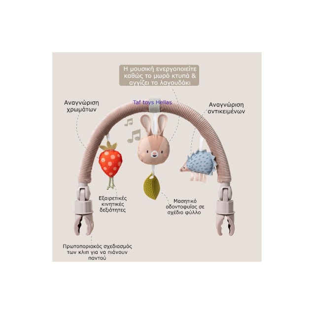 Μπάρα δραστηριοτήτων Taf Toys Musical Bunny...