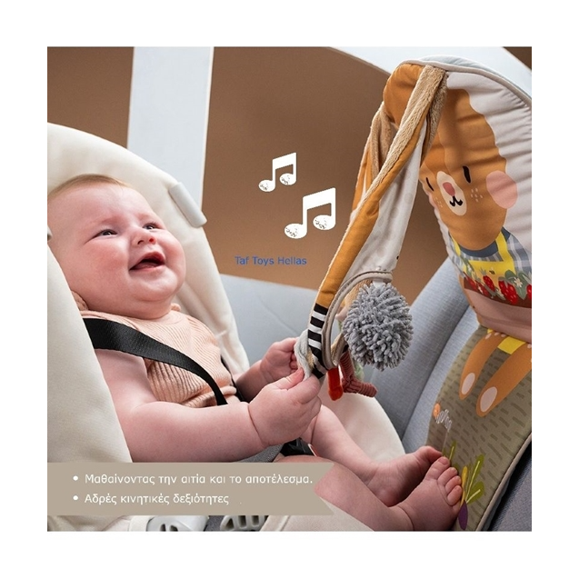 Παιχνίδι Αυτοκινήτου Taf Toys Bunny Play & Kick...