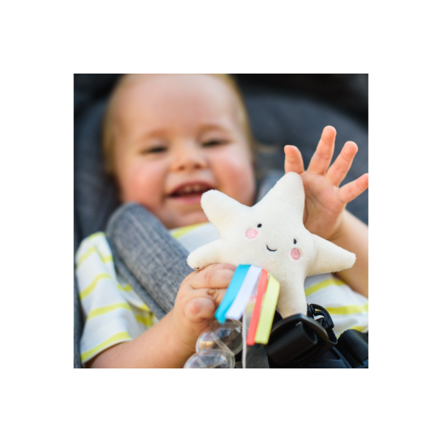 Κουδουνίστρα Taf Toys Star Rainstick 0+ T-12645