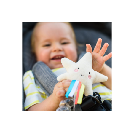 Κουδουνίστρα Taf Toys Star Rainstick 0+ T-12645