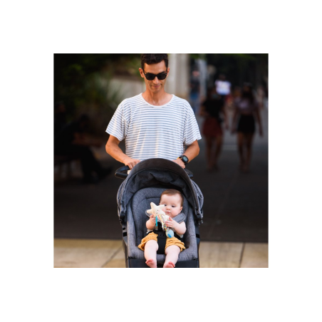 Κουδουνίστρα Taf Toys Star Rainstick 0+ T-12645