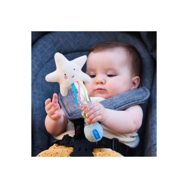 Κουδουνίστρα Taf Toys Star Rainstick 0+ T-12645