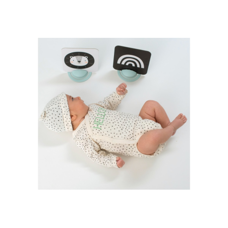 Παιχνίδι Δραστηριοτήτων Taf Toys My 1st Tummy-Time Cards  T-12835