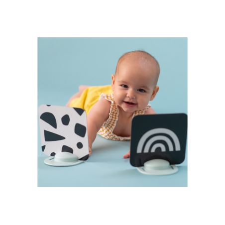 Παιχνίδι Δραστηριοτήτων Taf Toys My 1st Tummy-Time Cards  T-12835