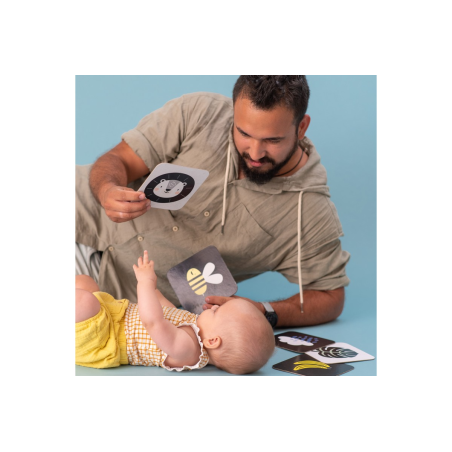 Παιχνίδι Δραστηριοτήτων Taf Toys My 1st Tummy-Time Cards  T-12835