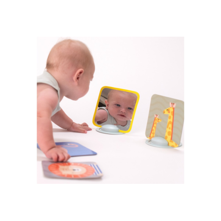 Παιχνίδι Δραστηριοτήτων Taf Toys My 1st Tummy-Time Cards  T-12835